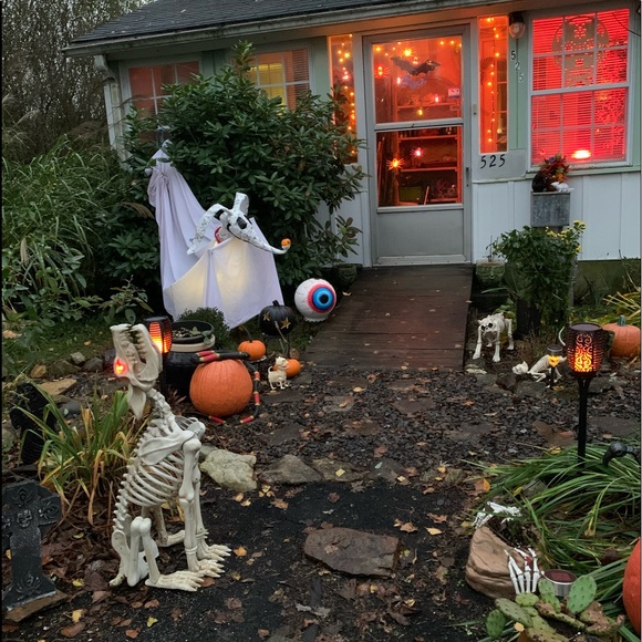 ๐ป2019 Halloween Yard & My โZEROโ Dog Creation!๐ฆ - Picture 2 of 8